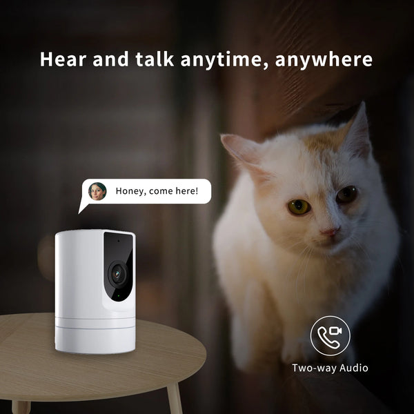 Smart Home Security Duo