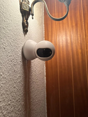A212fde521d424ff2941a00507fc6efbfs.jpg