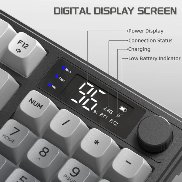 FREEWOLF Explorer Keyboard